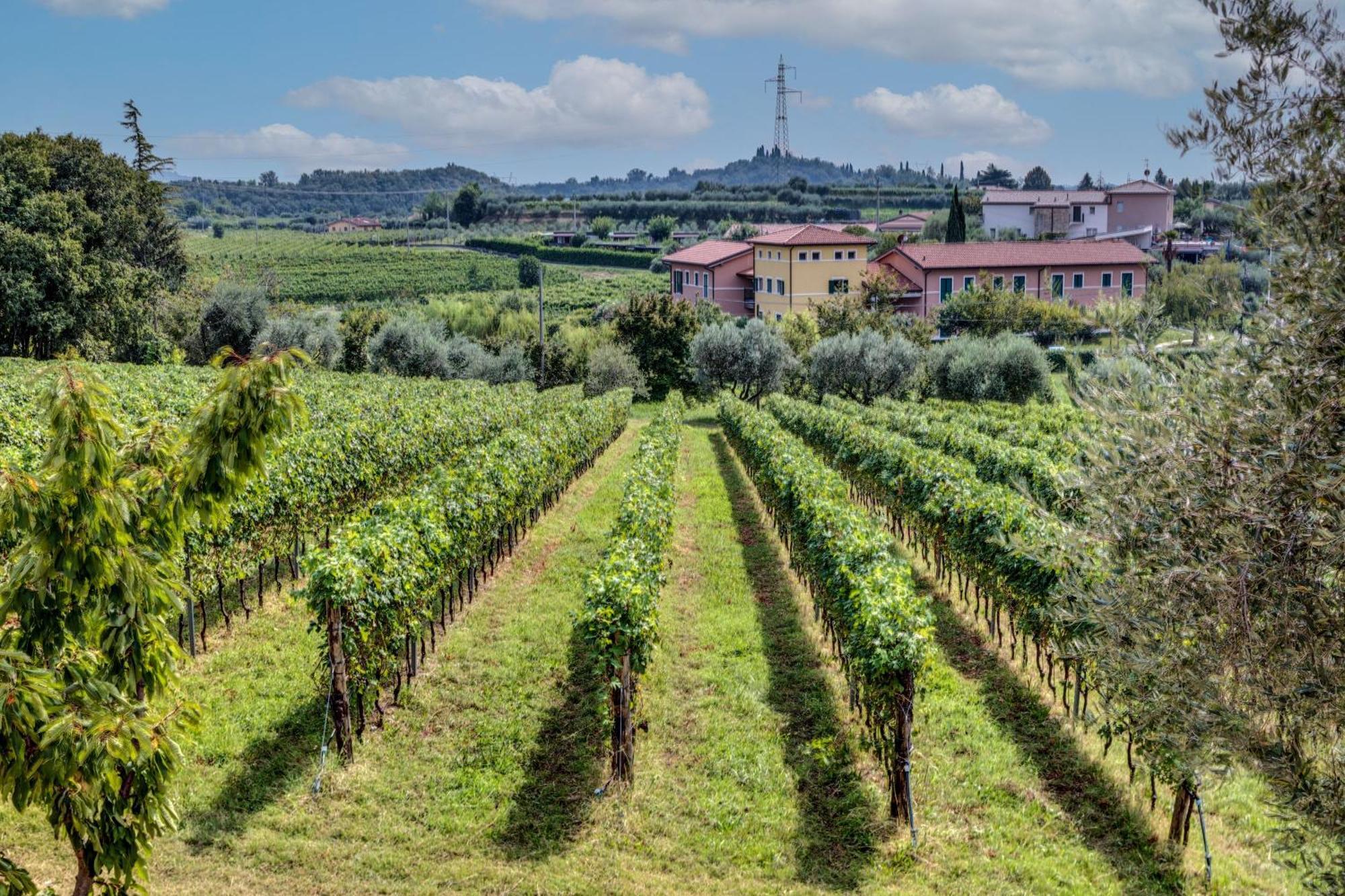 Tenuta Di Palu Bardolino Exteriér fotografie